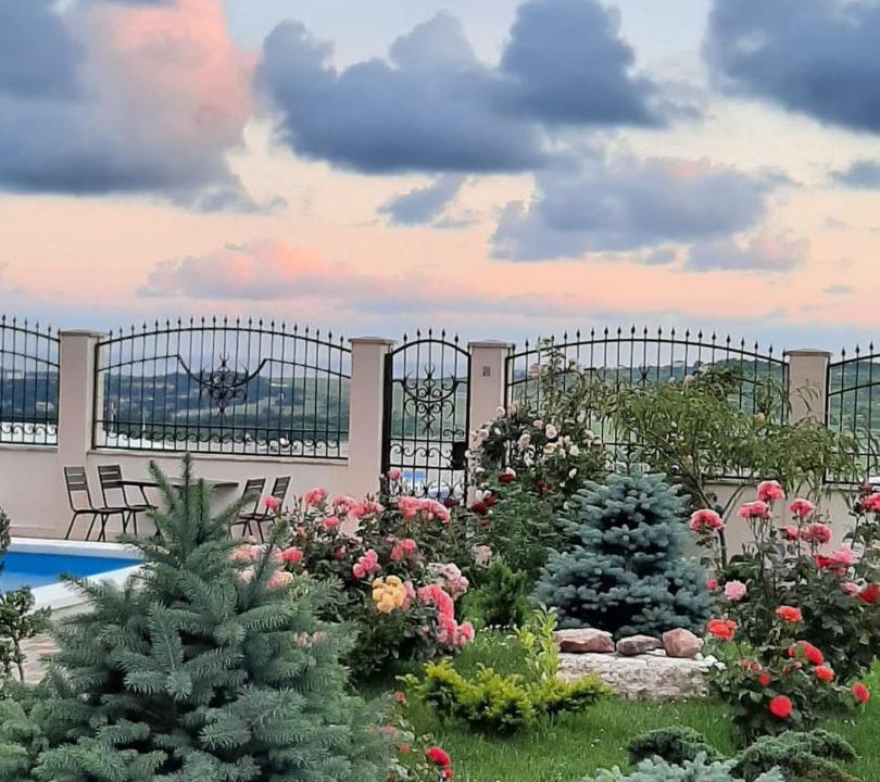 Photo of Others in Gelendzhik