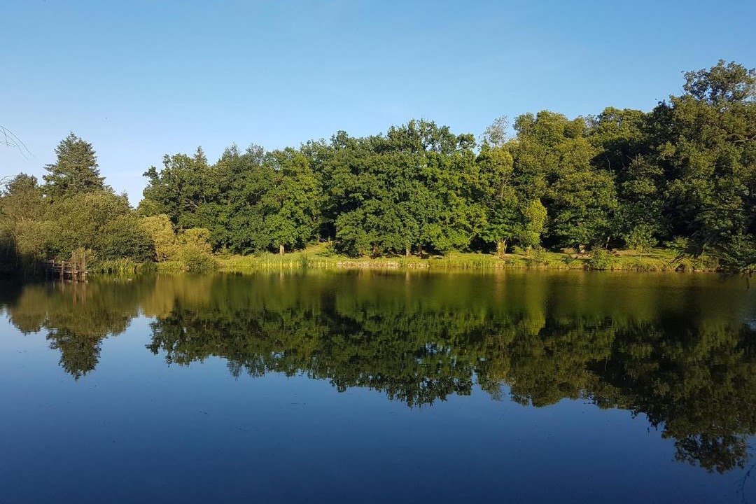Photo of Others in Saint-Aubin-le-Cloud