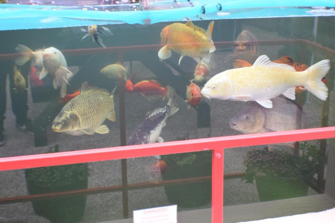 Photo of Others in Sutton-on-Sea