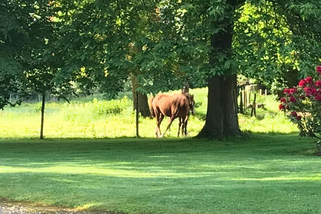 Photo of Outdoor in Hugleville-en-Caux