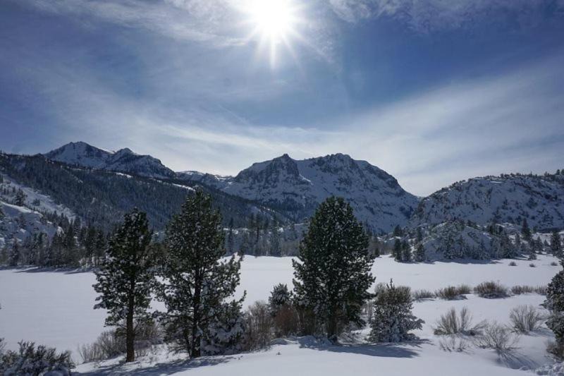 Photo of Others in June Lake