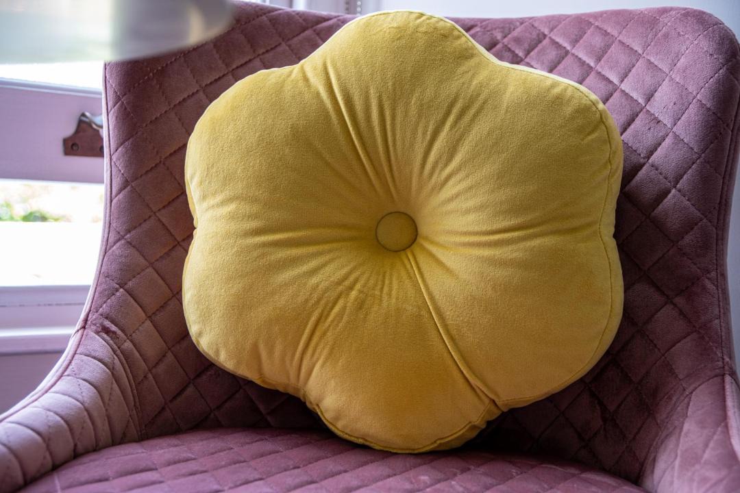 Photo of Others in Tavistock