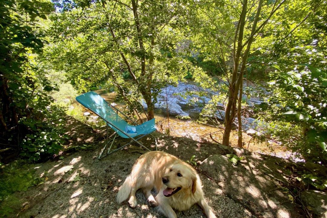 Photo of Outdoor in Villefort