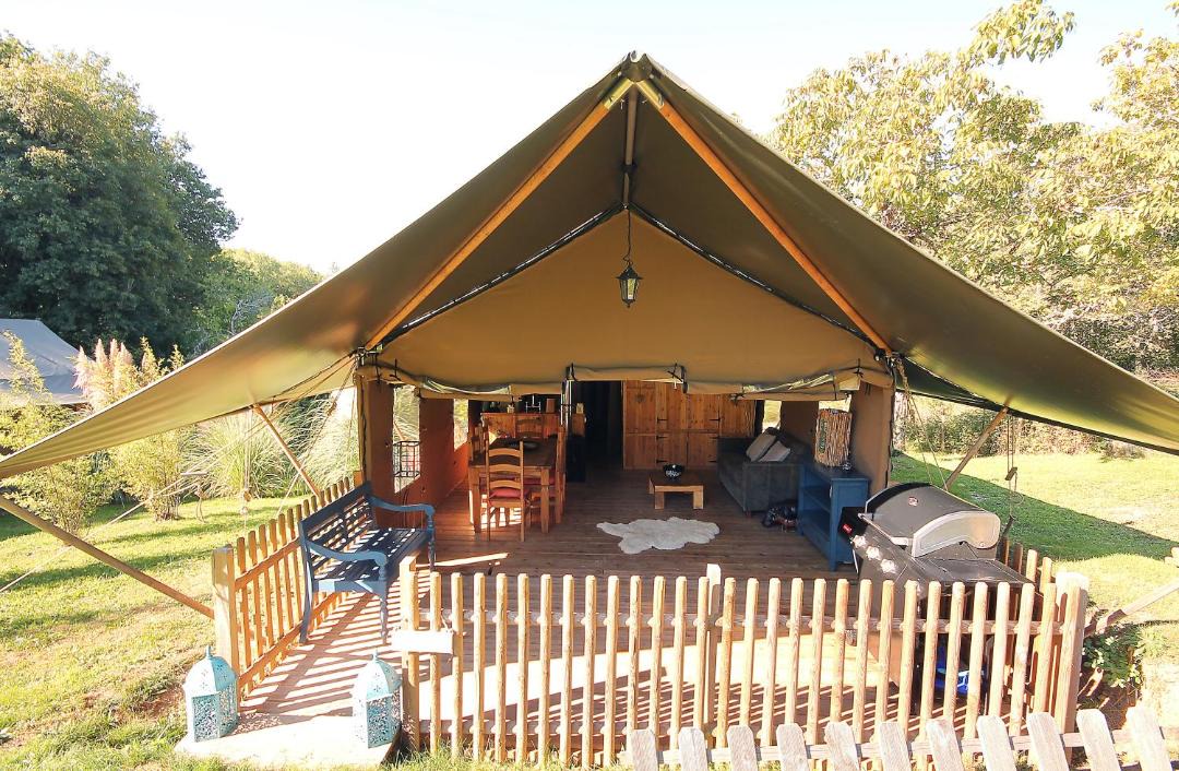 Photo of Others in Catus