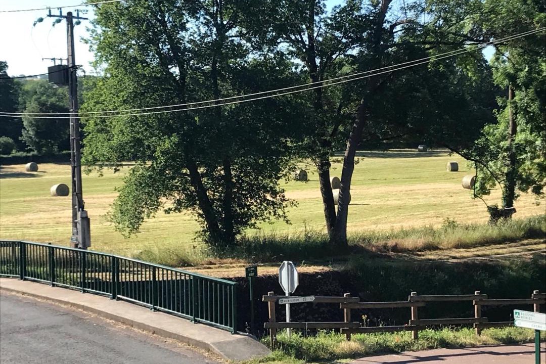 Photo of Others in Audes