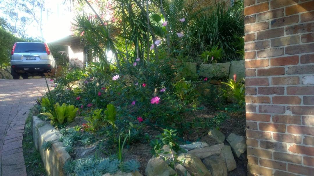 Photo of Outdoor in Linley Point