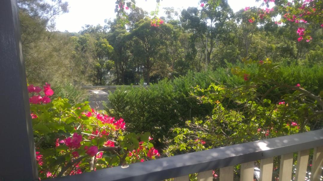 Photo of Others in Linley Point