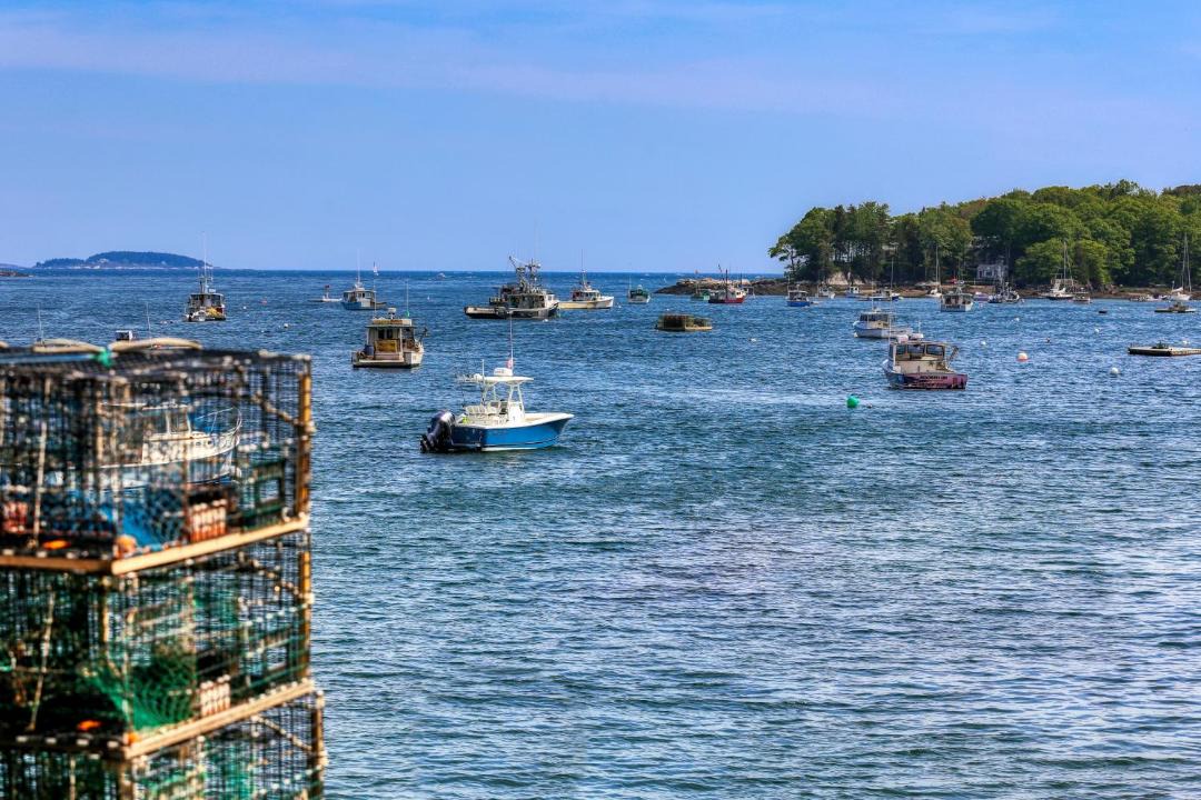 Photo of Others in Cundys Harbor