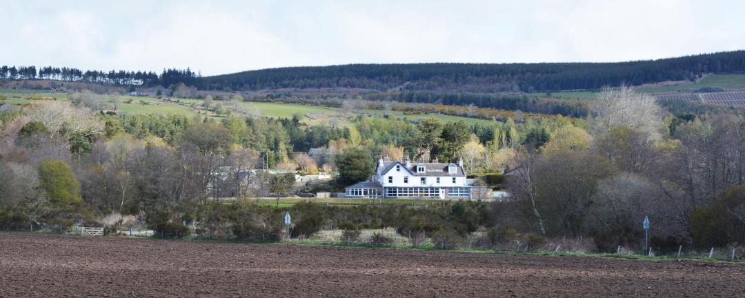 Photo of Others in Banchory