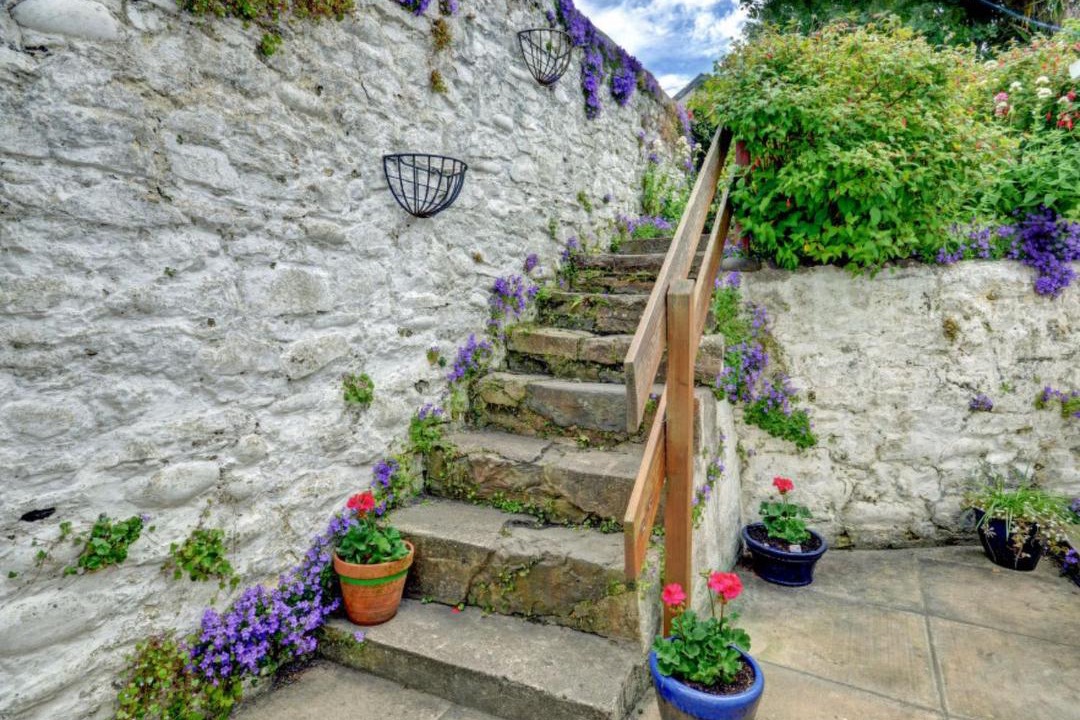 Photo of Others in Appledore