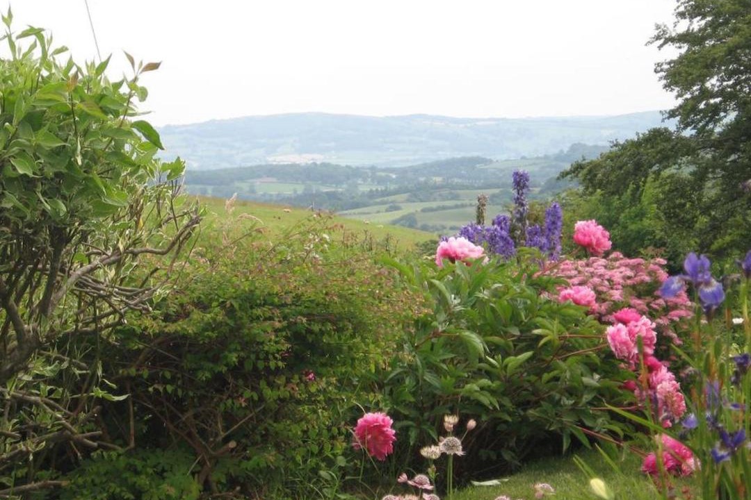 Photo of Outdoor in Abergele