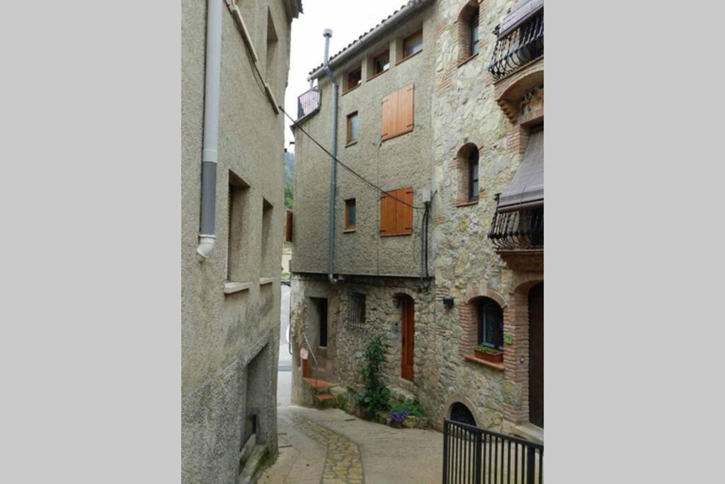 Photo of Others in Arboli