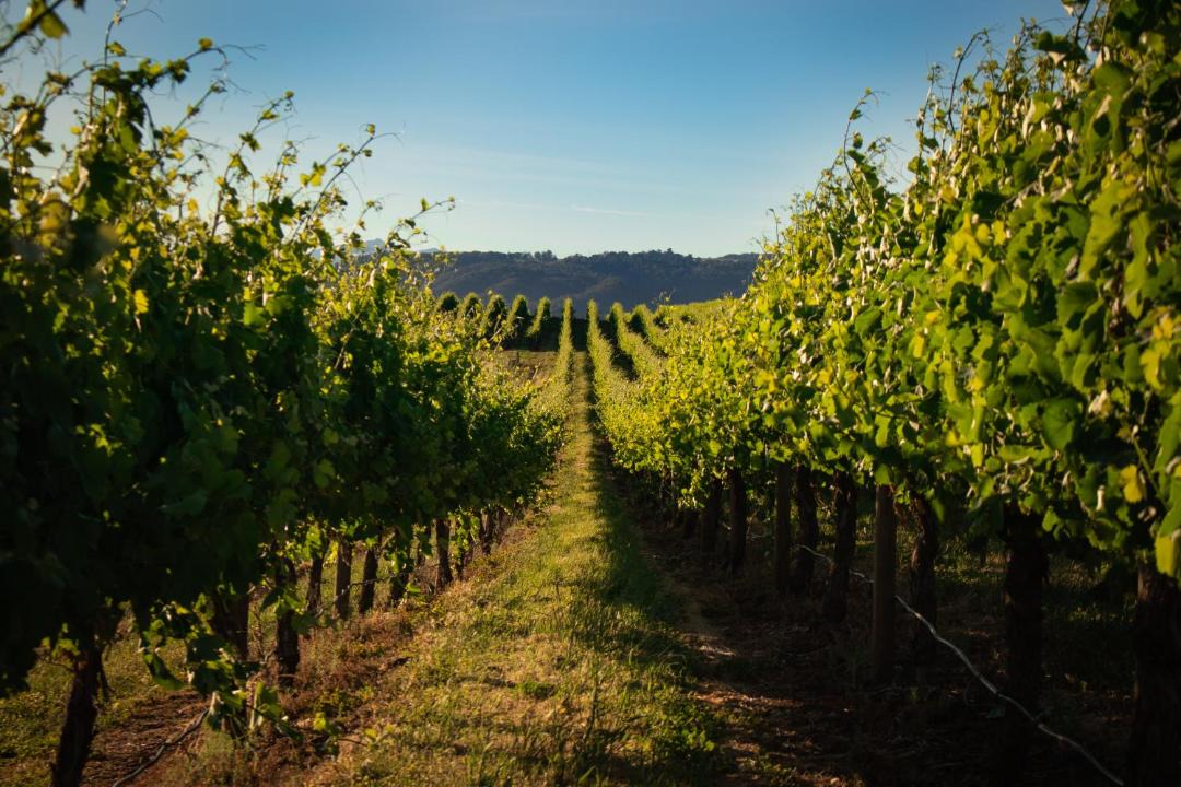 Photo of Others in Myrrhee