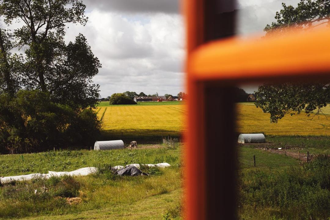 Photo of Others in Harlev