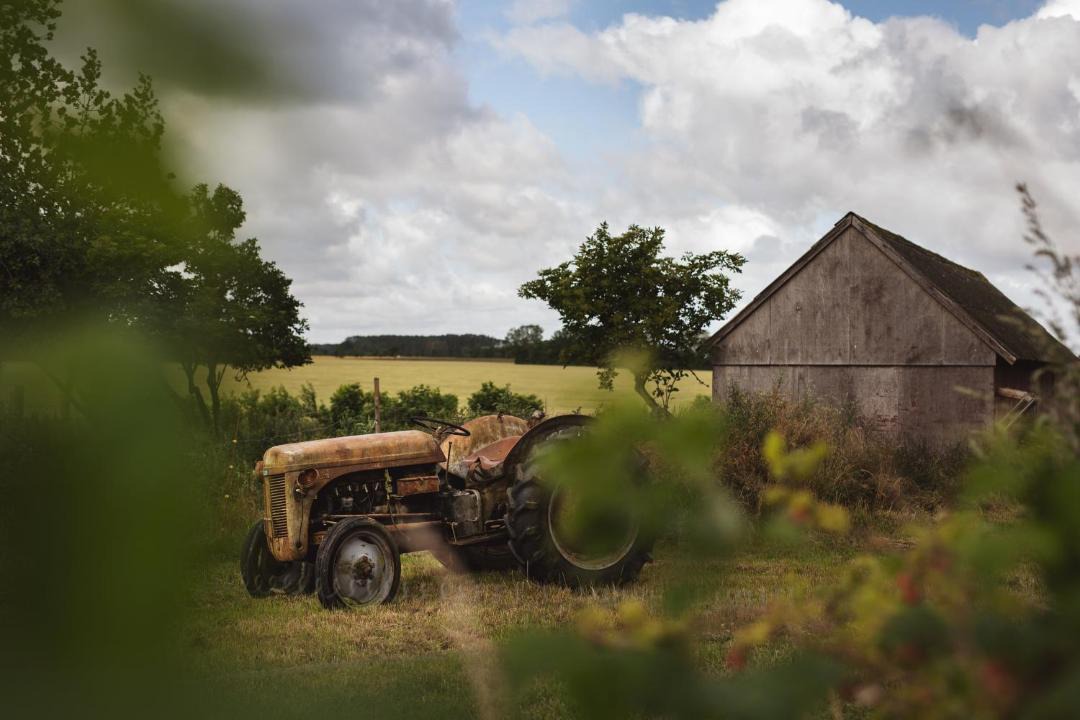 Photo of Others in Harlev