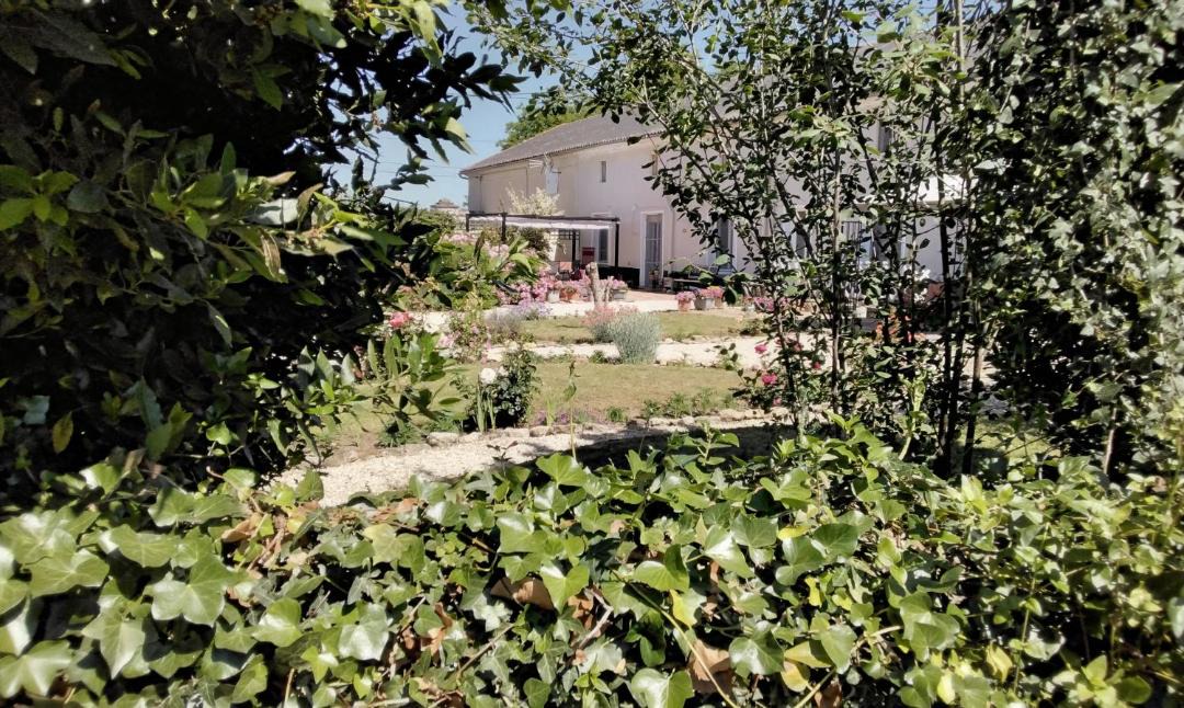 Photo of Others in Montreuil-Bellay