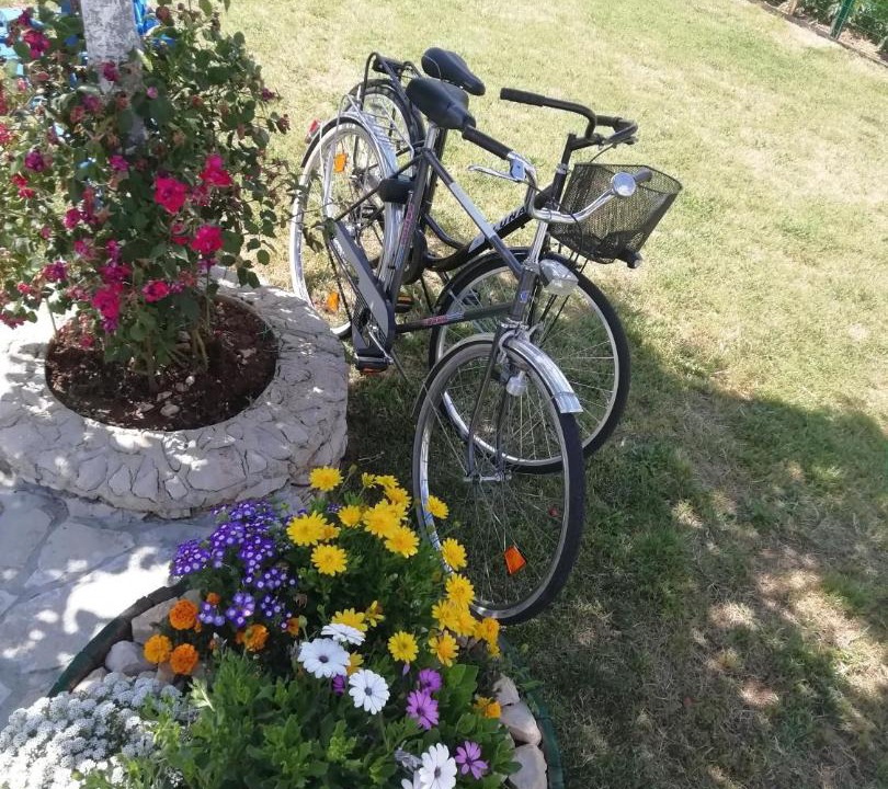 Photo of Outdoor in Ruzic