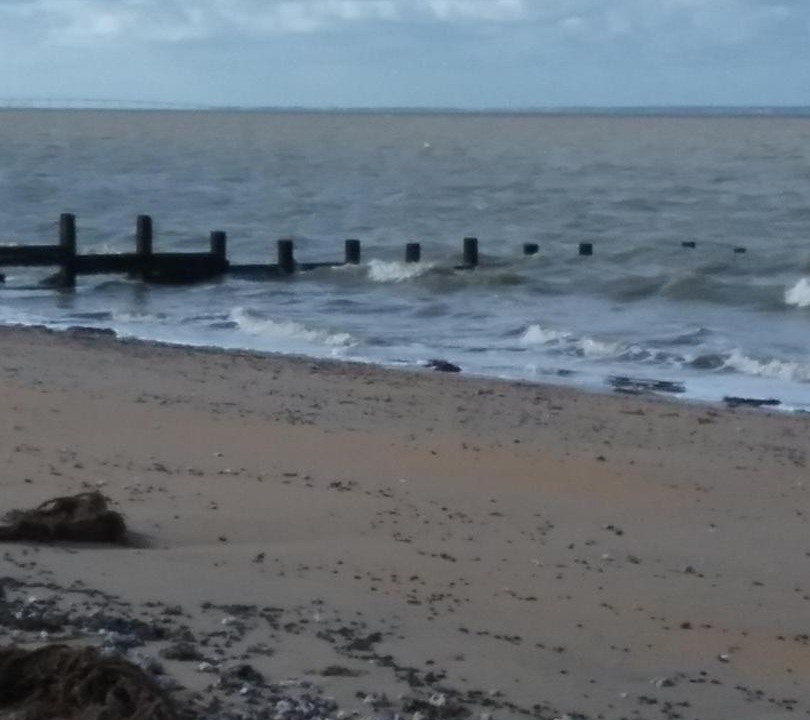 Photo of Others in Le Busseau