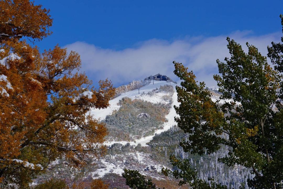 Photo of Others in Steamboat Springs