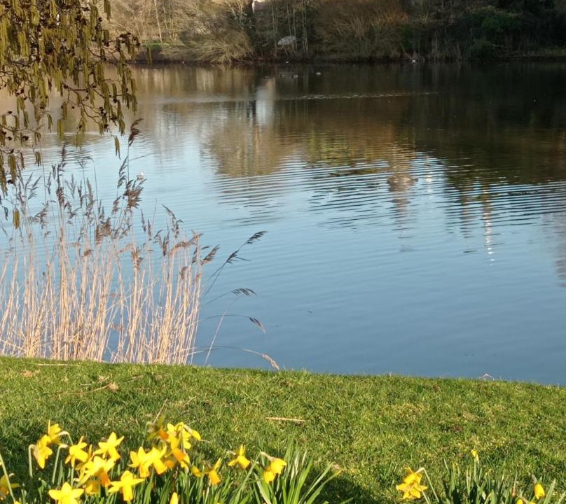 Photo of Outdoor in Bourgenay