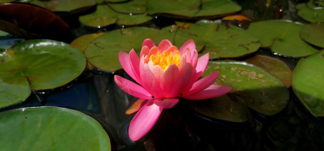 Photo of Others in Le Grand-Pressigny