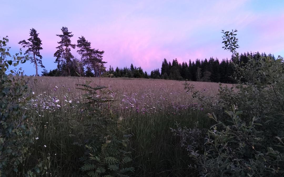 Photo of Outdoor in Sembadel