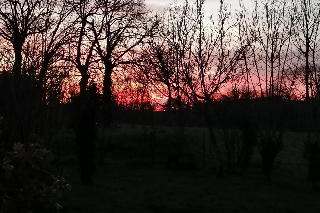 Photo of Outdoor in Paimpont