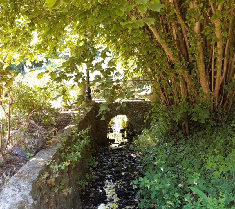Photo of Others in Saint-Laurent-du-Mottay