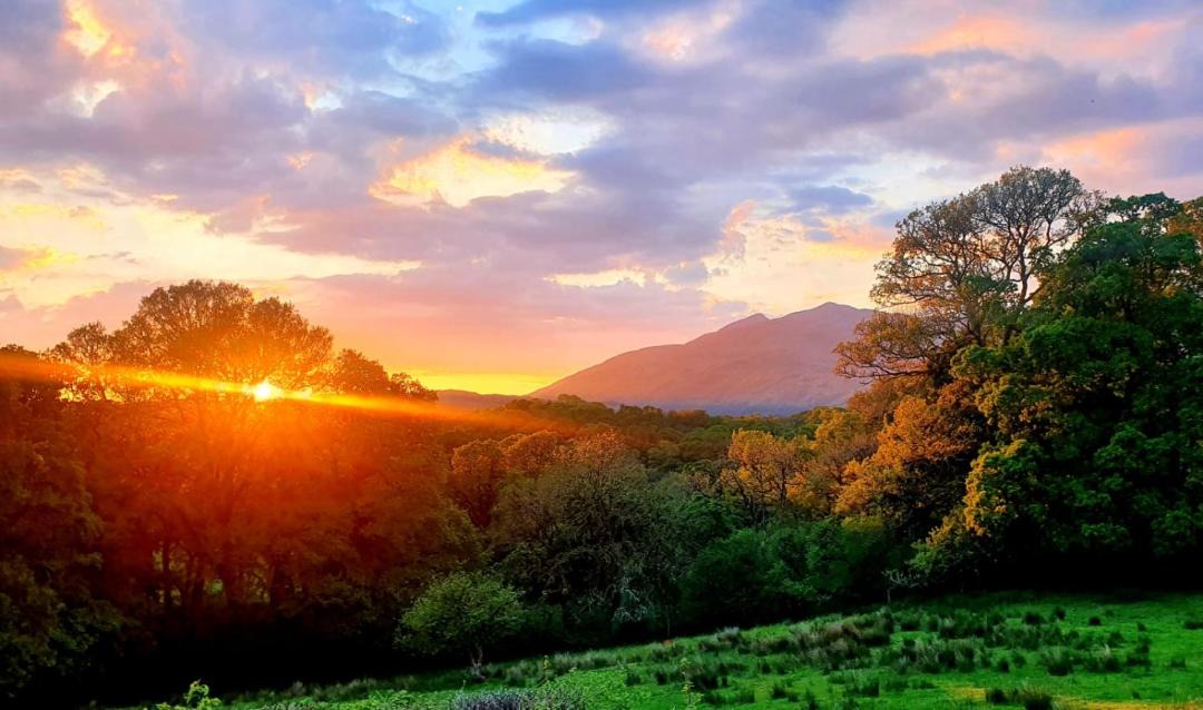 Photo of Outdoor in Dalmally