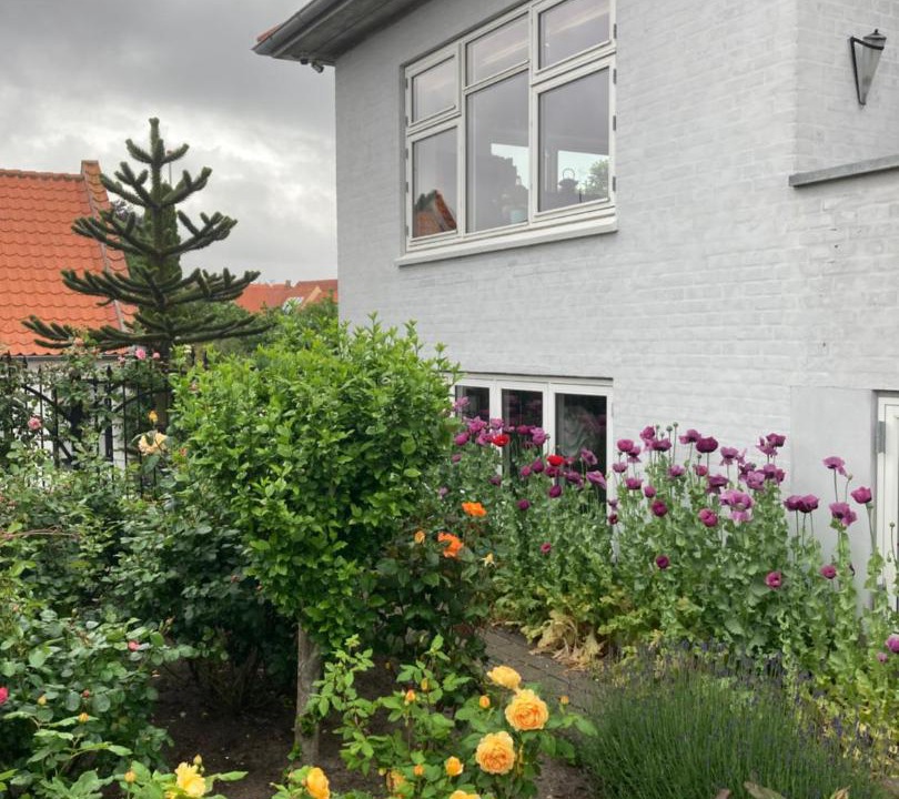 Photo of Others in Syddjurs Kommune