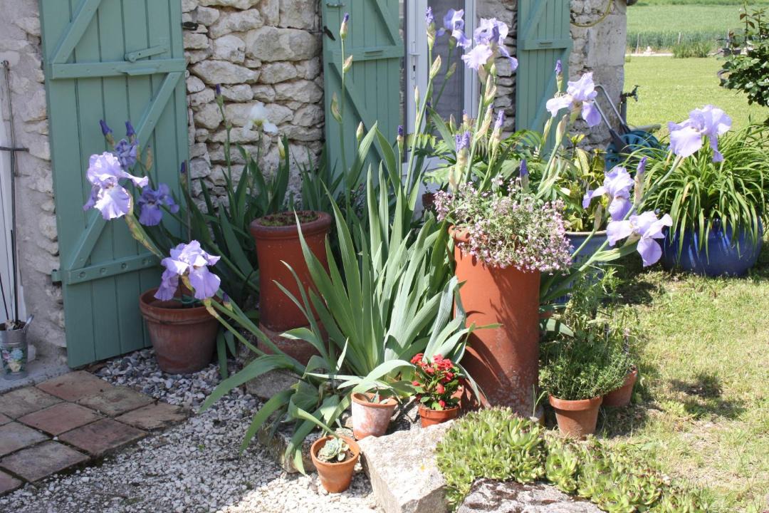 Photo of Others in Savignac-sur-Leyze