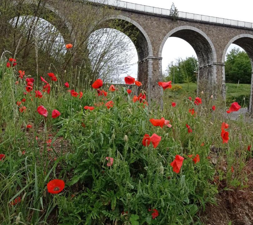 Photo of Others in Boulieu-les-Annonay