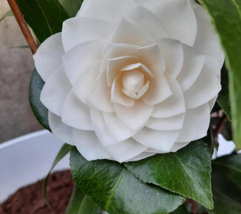 Photo of Others in Saint-Victor-sur-Rhins