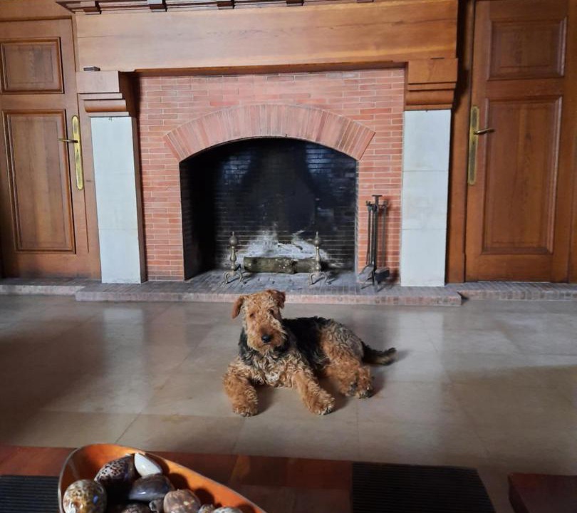 Photo of Others in Saint-Victor-sur-Rhins