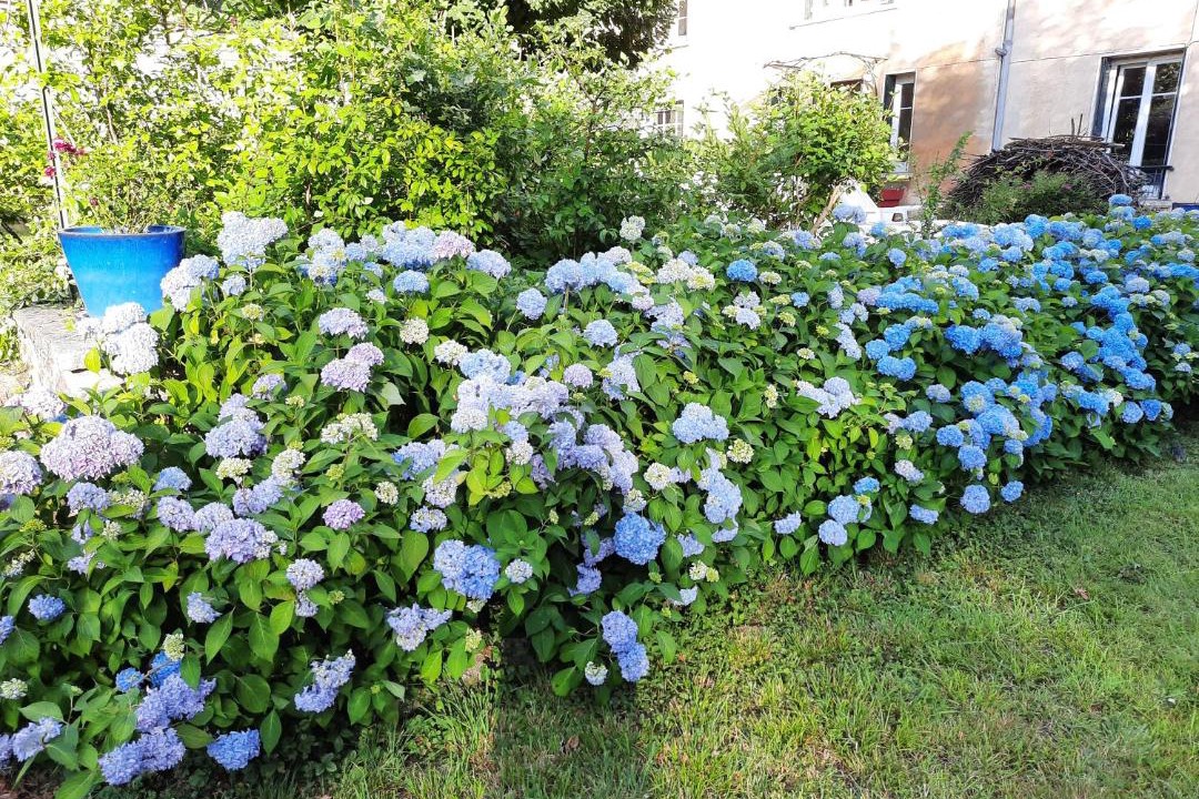 Photo of Outdoor in Saint-Victor-sur-Rhins