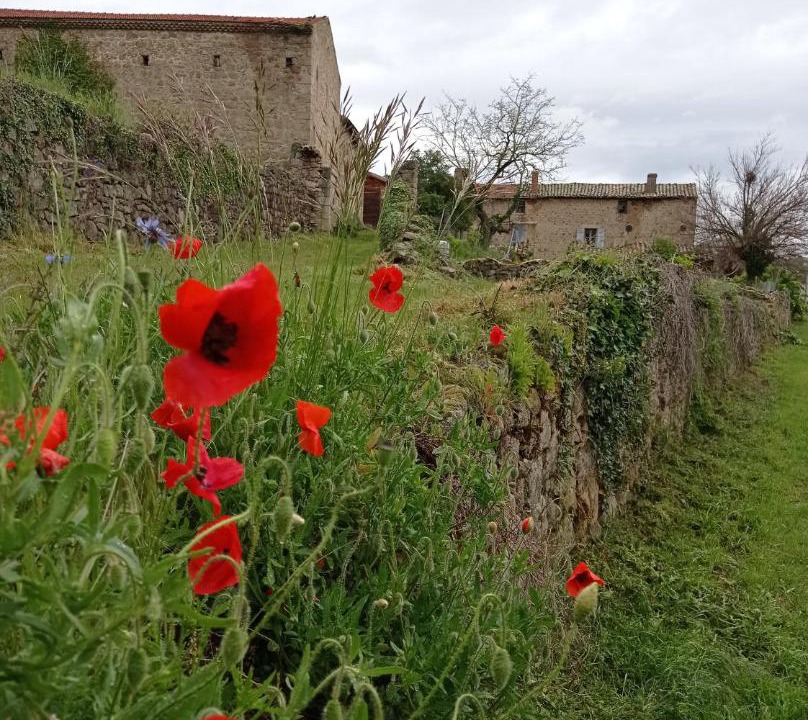 Photo of Others in Boulieu-les-Annonay