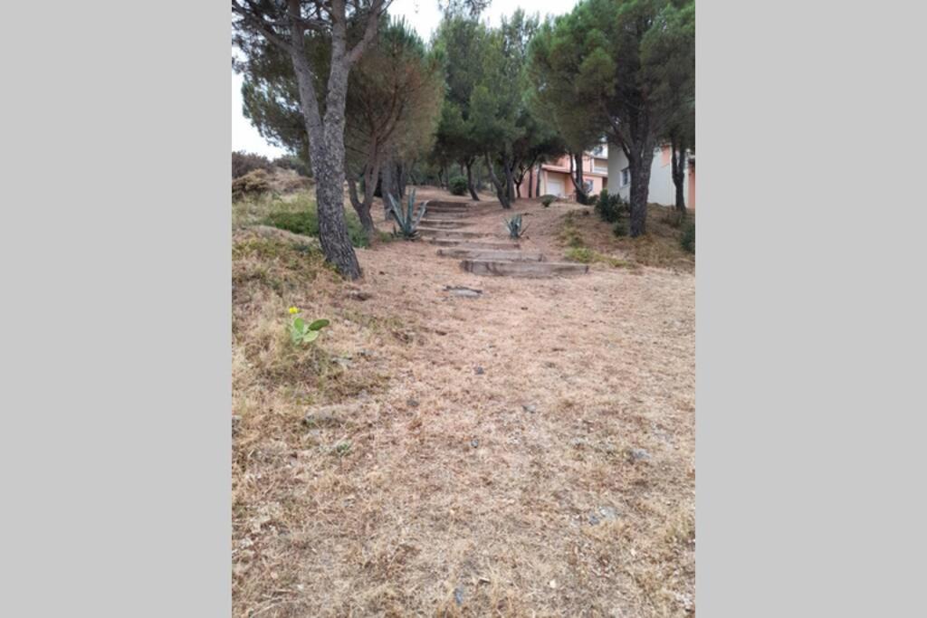 Photo of Others in Cerbere