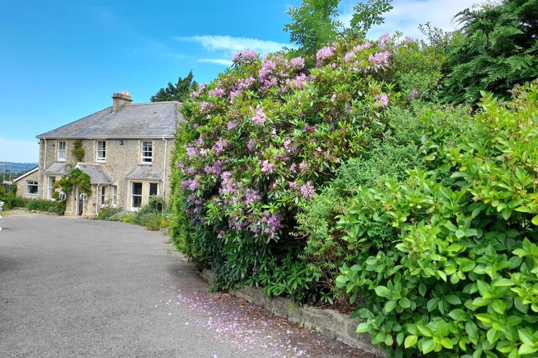 Photo of Others in Hawkchurch