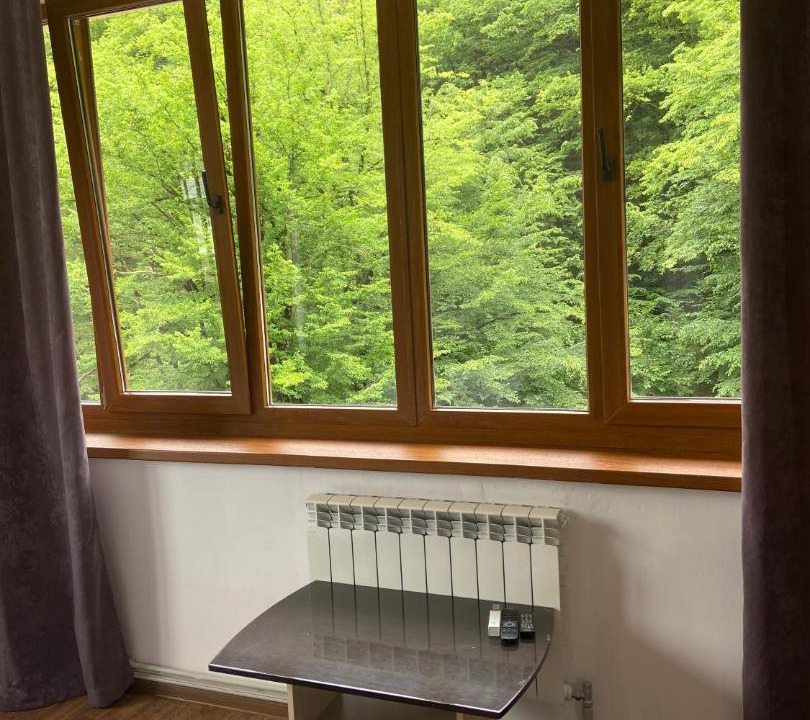 Photo of Others in Estosadok