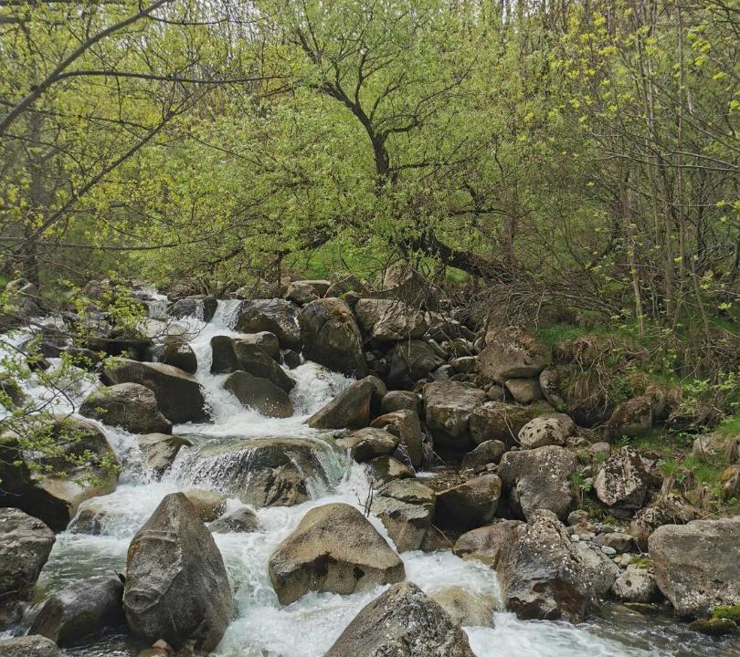 Photo of Others in Taull