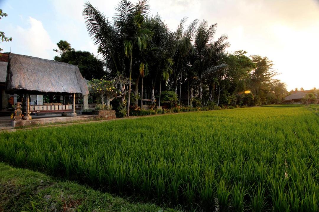 Photo of Others in Pengosekan