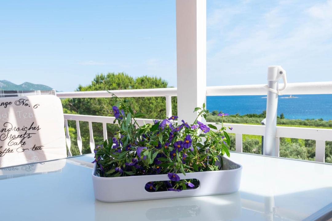 Photo of Patio Balcony in Stankovici