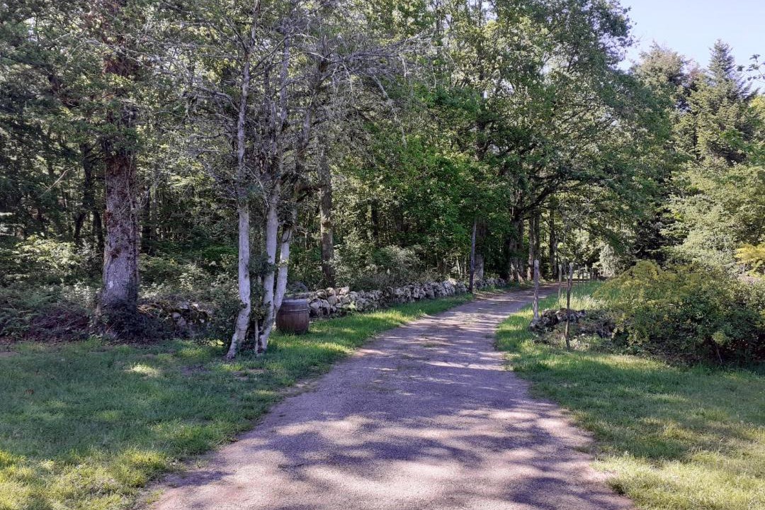 Photo of Others in Saint-Sernin-du-Bois