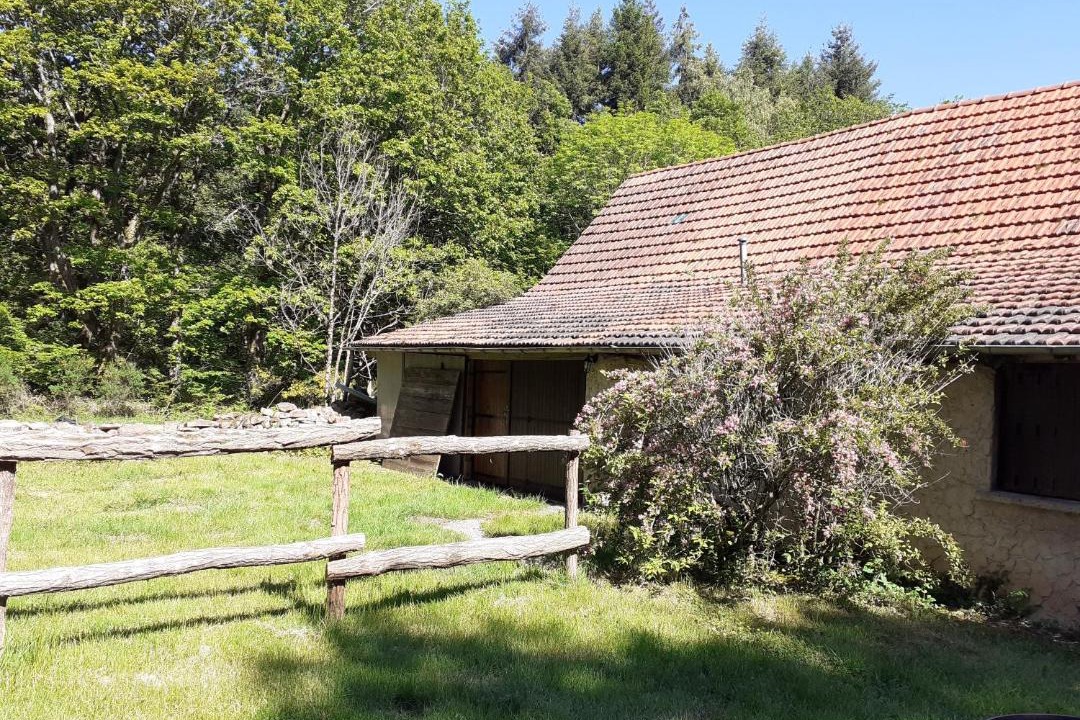 Photo of Others in Saint-Sernin-du-Bois