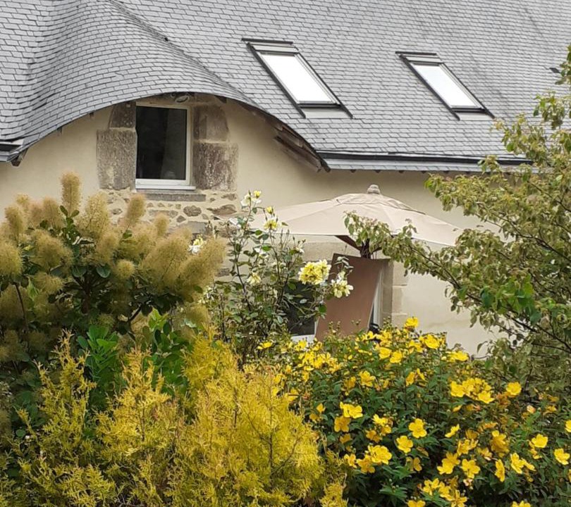 Photo of Others in Ambon