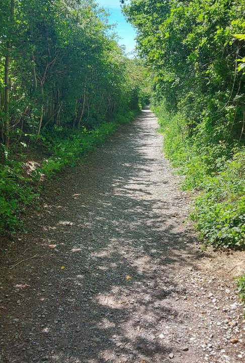 Photo of Outdoor in Sandown