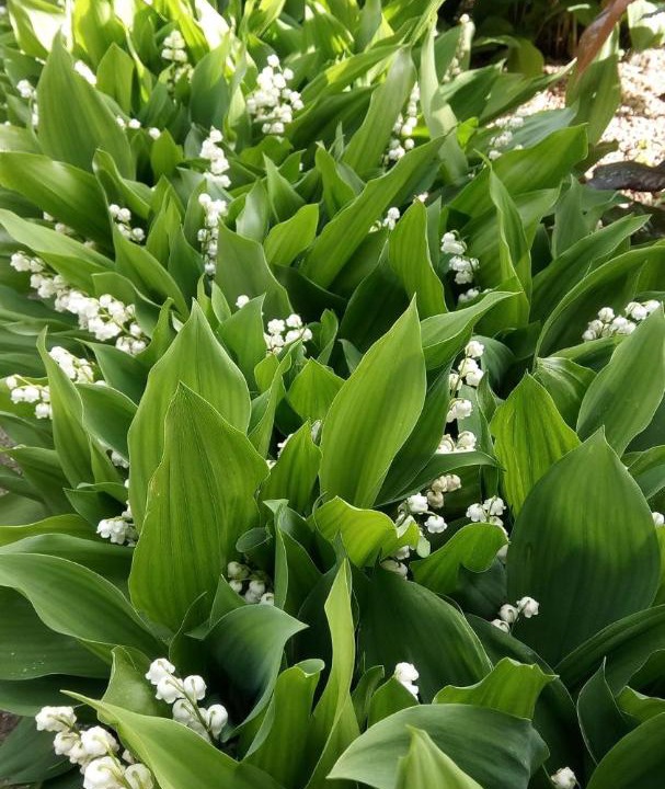 Photo of Others in Villelongue-d'Aude