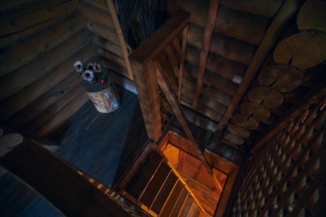 Photo of Others in Zvenigorod