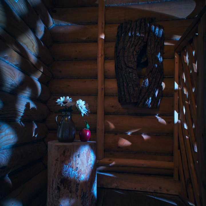 Photo of Others in Zvenigorod