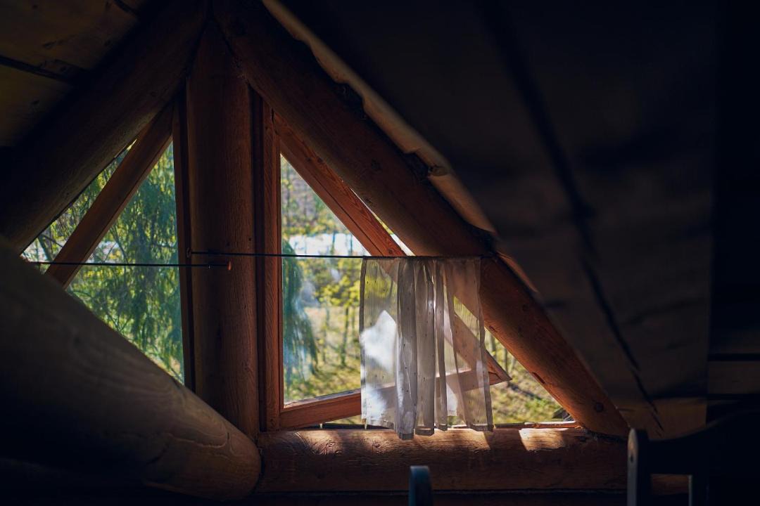 Photo of Others in Zvenigorod